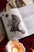 Дополнительное изображение книги «4 сезона волшебства. Тайные послания и рецепты, нашептанные лесом»