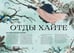 Дополнительное изображение книги «4 сезона волшебства. Тайные послания и рецепты, нашептанные лесом»