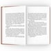 Дополнительное изображение книги «Ксю»
