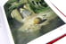 Дополнительное изображение книги «Золушка»