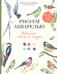 Дополнительное изображение книги «Рисуем акварелью: птицы леса и сада»