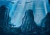 Дополнительное изображение книги «История Китти и рыбака, который ее поймал»