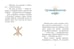 Дополнительное изображение книги «Шоколадус. Волшебная корона майя»