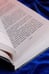 Дополнительное изображение книги «Адвокат вампира»