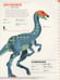 Дополнительное изображение книги «Dictionary of Dinosaurs»