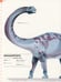 Дополнительное изображение книги «Dictionary of Dinosaurs»