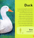 Дополнительное изображение книги «My First Book of Farm Animals»