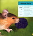 Дополнительное изображение книги «My First Book of Farm Animals»