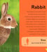 Дополнительное изображение книги «My First Book of Farm Animals»