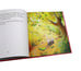 Дополнительное изображение книги «Ladybird Tales - The Classic Collection»