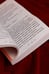 Дополнительное изображение книги «Спор на босса»