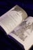 Дополнительное изображение книги «Сожженные земли. Павший»