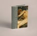 Дополнительное изображение книги «Скорбь сатаны»