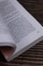 Дополнительное изображение книги «Дудочка крысолова»