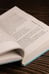 Дополнительное изображение книги «Последний пионер»