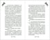 Дополнительное изображение книги «Эш из мира теней»