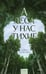 Обложка книги «А леса у нас тихие» — Селютина Алена, ISBN 9785002508686