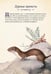 Дополнительное изображение книги «Магические животные. Легенды и суеверия»