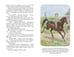 Дополнительное изображение книги «Детство Темы (ил. Е. Лопатиной)»