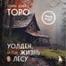 Дополнительное изображение книги «Уолден, или Жизнь в лесу»