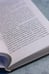 Дополнительное изображение книги «Истребитель Зоны»