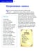 Дополнительное изображение книги «Детям о Православии. О храме»