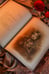 Дополнительное изображение книги «Красавица и чудовище»