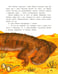 Дополнительное изображение книги «Финик, посмотри вокруг!»