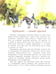 Дополнительное изображение книги «Парки Москвы. Вып. 248. 2-е изд»