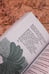 Дополнительное изображение книги «"Здравствуй, Муза! Хочешь финик?"»