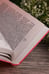 Дополнительное изображение книги «Дожить до весны»