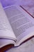 Дополнительное изображение книги «Тринадцатый Проклятый. Скорбь Стража»