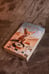 Дополнительное изображение книги «Светоч мира»