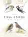 Обложка книги «Птицы в городе. Где найти и как узнать» — Васильева Анна  Борисовна, ISBN 9785002509065