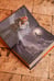 Дополнительное изображение книги «Не драконьте принца! Книга вторая»