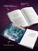 Дополнительное изображение книги «Энчантра. Тринадцать клятв»
