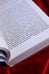 Дополнительное изображение книги «Грозовой перевал»