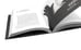 Дополнительное изображение книги «Сокуров»
