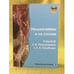 Обложка книги «Индонезийцы и их соседи. Festschrift Е. В. Ревуненковой и А. К. Оглоблину. Маклаевский сборник» — Автор не указан, ISBN 9785884311411