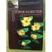 Обложка книги «Дифференционно-интеграционная теория развития.», ISBN 9785955104836