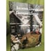 Обложка книги «Василий Шевчук, Светлана Шевчук» — Балаш А., ISBN 9785779313926