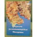 Обложка книги «Курсом развивающейся Молдовы.» — Автор не указан, ISBN 9785899301087