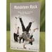 Обложка книги «Mendeleev Rock/Менделеев-рок. Rooftop Anesthesia/Анестезия крыш» — Кузечкин А., Костин П., ISBN 9785717200899