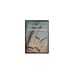 Обложка книги «Христос — наш Первосвященник» — Елена Уайт, ISBN 9785868470707