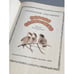 Дополнительное изображение книги «Первое солнышко»