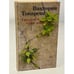 Обложка книги «Сволочей тоже жалко», ISBN 9785389078765