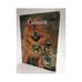 Обложка книги «Собаки» — Эстер Верхойф-Верхаллен, ISBN 9785781100729