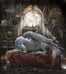 Дополнительное изображение книги «Harry Potter and the Prisoner of Azkaban J.K. Rowling Гарри Поттер и узник Азкабана Д.К. Роулинг / Книги на английском языке»
