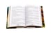 Дополнительное изображение книги «Сотник и басурманский царь»
