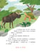 Дополнительное изображение книги «Африканские сказки. Антилопа и черепаха»